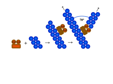 Slide 9 A network of actin filaments enables a cell to extend a leading edge (push) and to retract or exert traction (pull) Slide 9 A network of actin filaments enables a cell to extend a leading edge (push) and to retract or exert traction (pull)