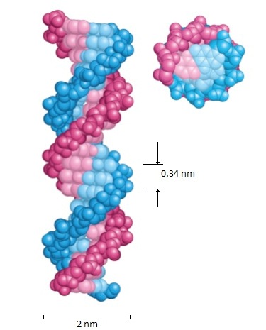 Figure 1 Figure 1