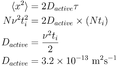 Equation Equation