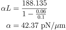 Equation Equation