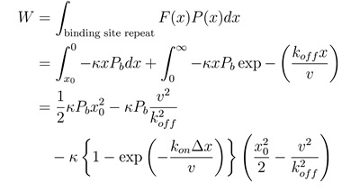 Equation Equation