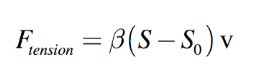 Equation 6 Equation 6