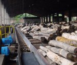 Woody biomass