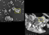 Microscopic pollution