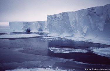 The Mertz Glacier tongue