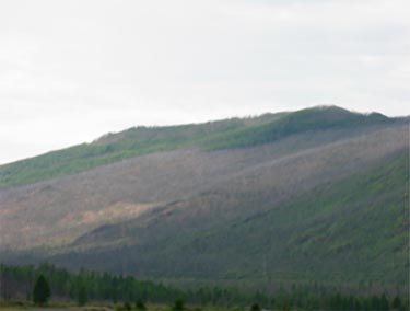 Burned area in the Tuvan mountains