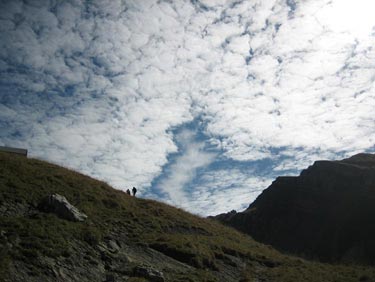 A partly glaciated altocumulus cloud deck