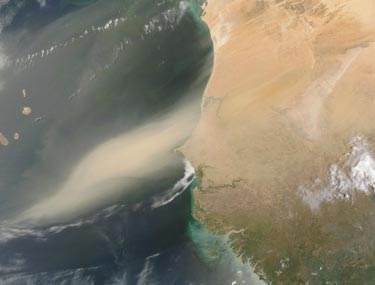 Satellite image