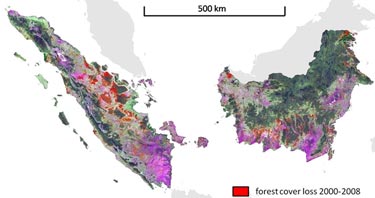 Forest-cover loss