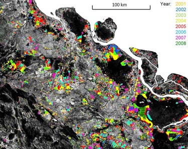 Forest loss in close-up