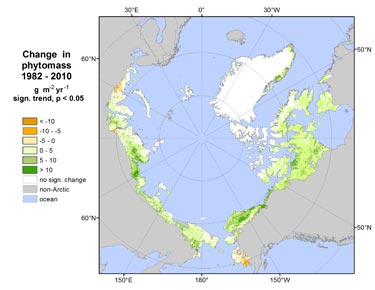 Change in Arctic phytomass
