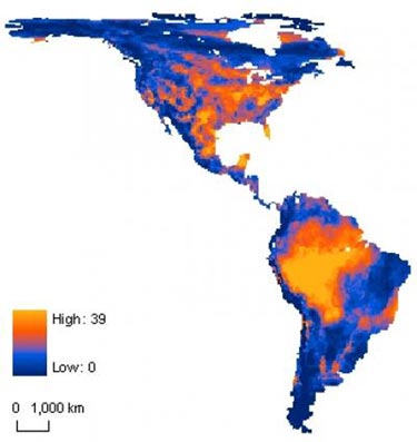 Western Hemisphere mammals