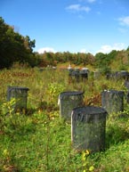 Grasshopper field cages.