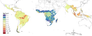 Carbon emissions