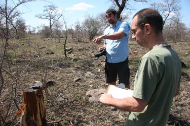 Tree survey