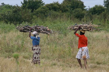 Fuelwood collection