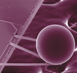 Casimir force tips the balance