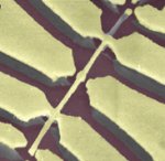 Nanomechanical coupled-resonator system