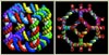 3 Building on the basics of biology