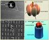 4 Hybrid bionanotechnological devices