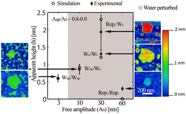 Layer thickness: experimental data versus simulation values