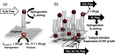 Schematic: CNTs growing directly out-of-plane from a graphene layer