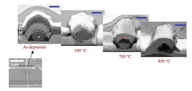 Kirkendall voids forming in silicon nanowire contact