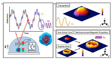 Force microscope set-up and image detail