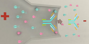Single molecule sensing