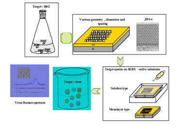 SERS detection of target molecules and viruses
