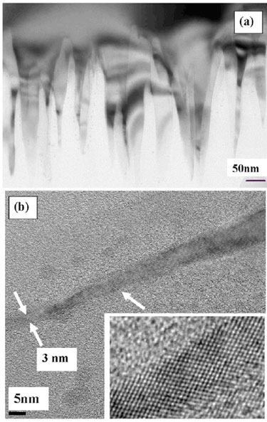 Black silicon: all-crystalline nanoneedles