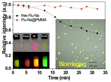 Photostability: free dye versus encapsulated dye in solution