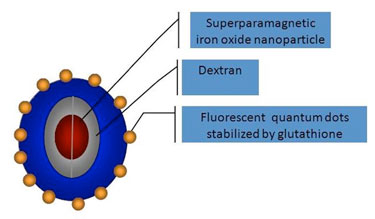 Multimodal imaging nanoprobe