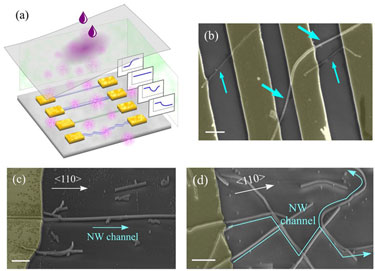 Table-top demonstrator: array of nanowire-based sensors