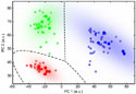 Chemical classifier