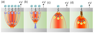 Filament formation in TiO2 (a, b) and NiO (c, d)
