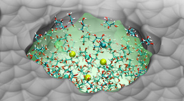 Schematic top-view image