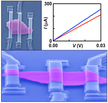 Bi<sub>2</sub>Se<sub>3</sub> thin-film crystal suspended across metal electrodes