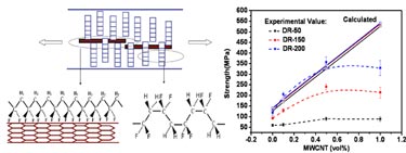 Proposed strengthening mechanism
