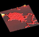 Nanoparticles on HOPG