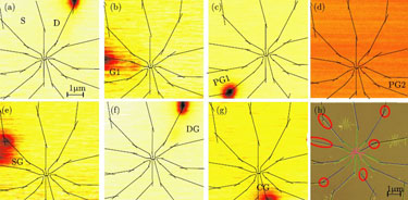 Mapping leakage currents