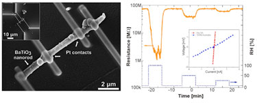 Building block: response of a BaTiO<sub>3</sub> nanorod to changes in RH