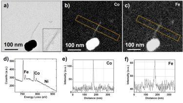 Nano alloy grown inside a virus particle
