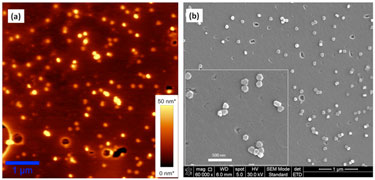 Plasmonic substrate for single-molecule detection
