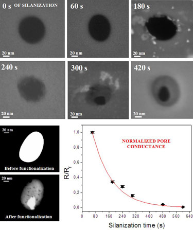Fine tuning nanopore size via bio-functionalization