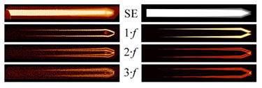 Experimental and simulated images of a vibrating AFM cantilever
