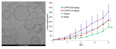 Anti-glioma effect of lapatinib-incorporated lipoprotein-like nanoparticles