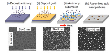 Effect of varying the thickness of the sacrificial antimony layer