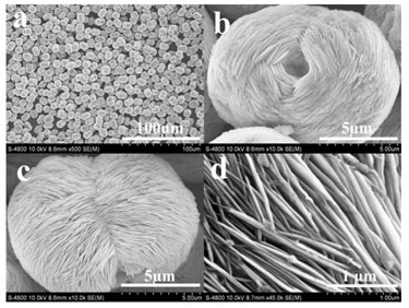 Electrode material: hierarchically structured LiFePO<sub>4</sub>/C