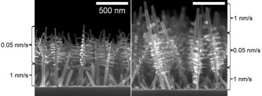 Rate modulation gives control over branching and trunk diameter